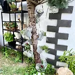 Artists Szkodra