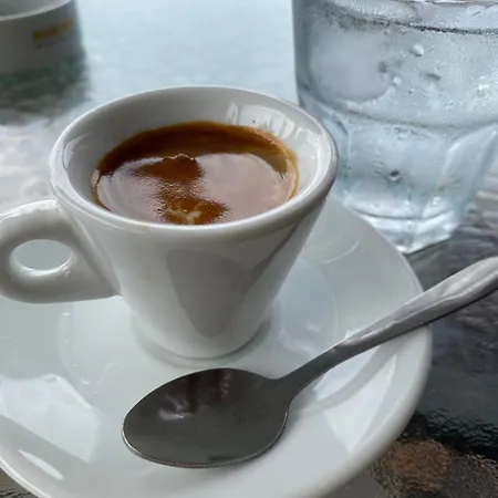 Vila Artists Shkodër