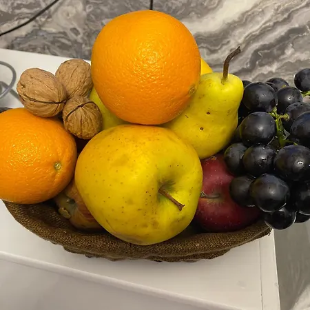 Artists Vila Shkodër