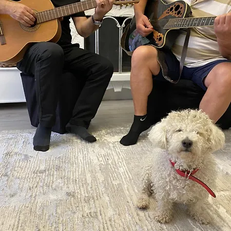 Villa Artists Shkodër