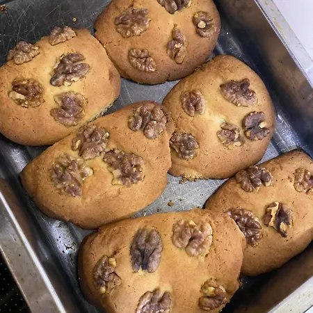 Artists Vila Shkodër