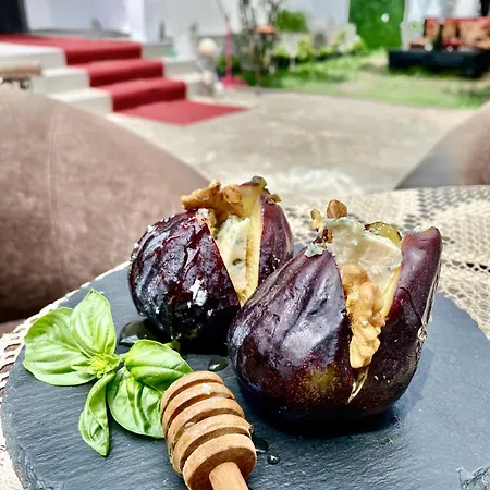 Villa Artists Shkodër