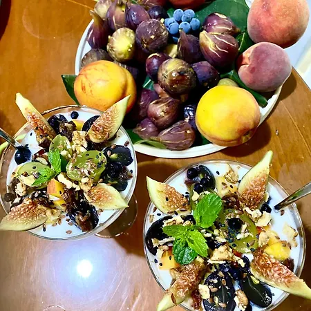 Artists Vila Shkodër