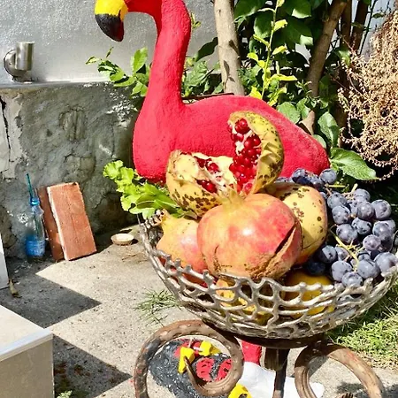 Vila Artists Shkodër