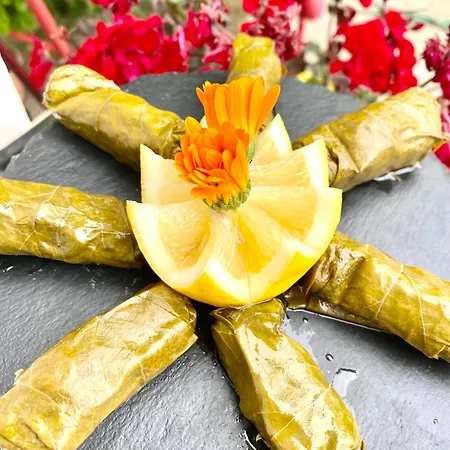 Villa Artists Shkodër