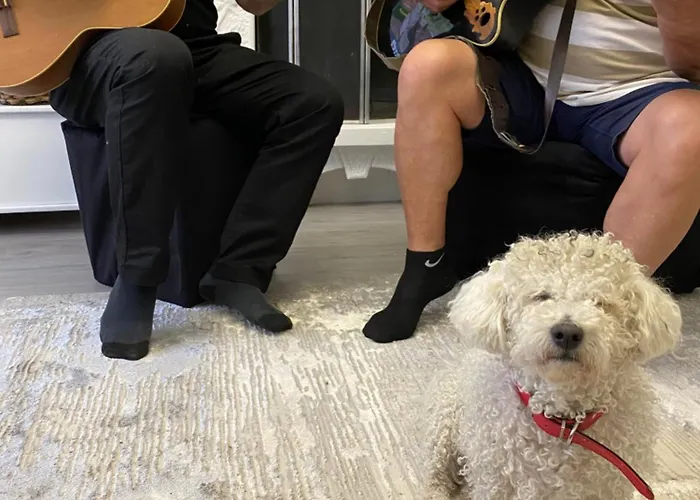 Villa Artists Shkodra