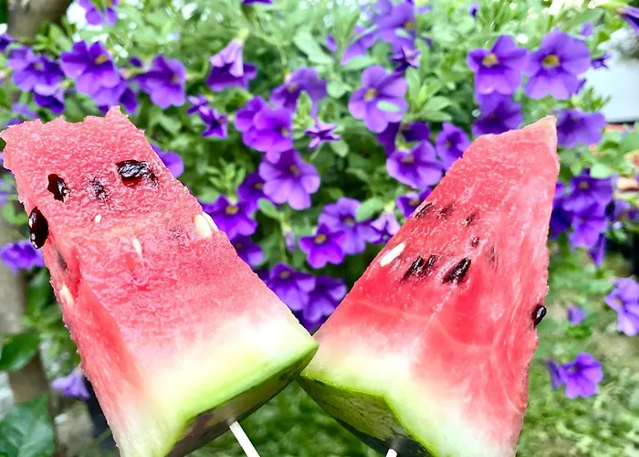 Вилла Artists Шкодер