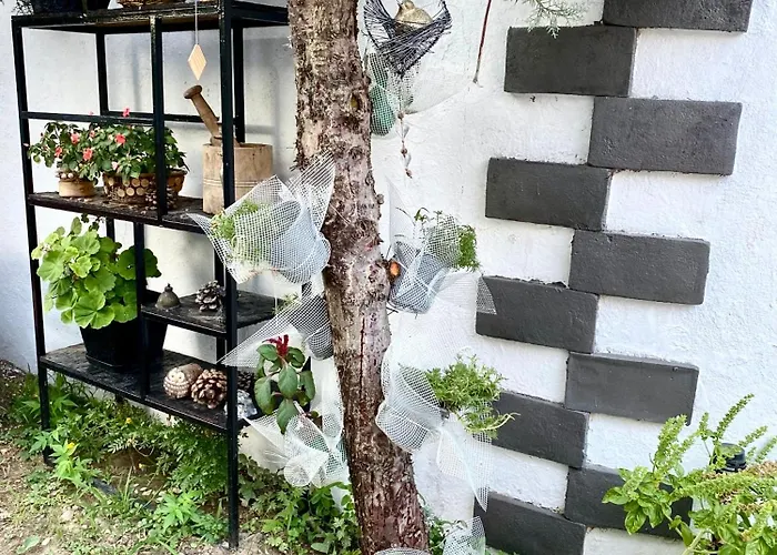 Artists Σκόδρα