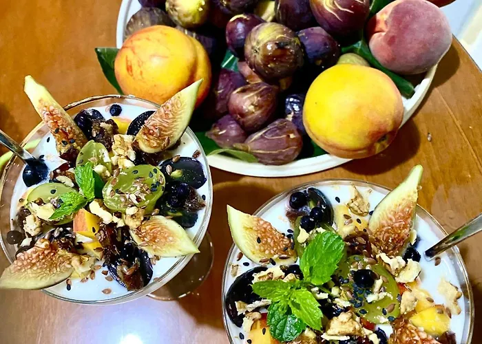 Artists Βίλα Σκόδρα