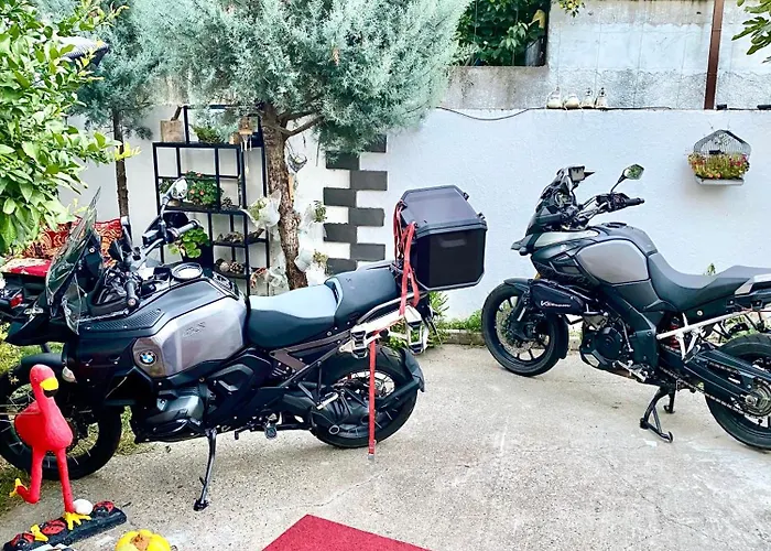 Artists * Σκόδρα