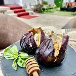 فيلة Artists شكودر
