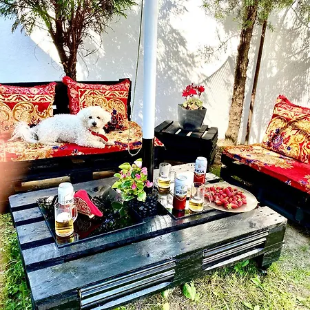 Villa Artists Shkodra