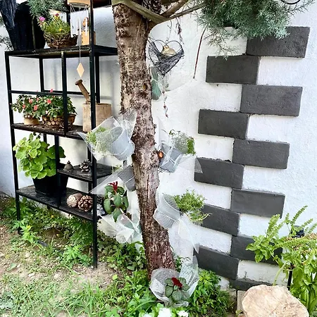 Artists Shkodër