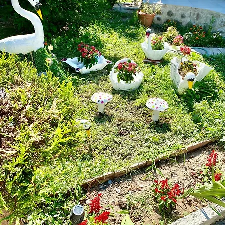 Artists Villa Shkodra