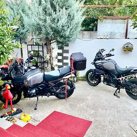 Artists * Shkodër