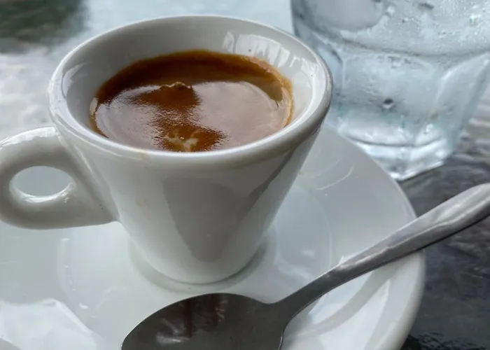 Willa Artists Szkodra