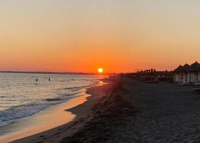 וילה Artists שקודר