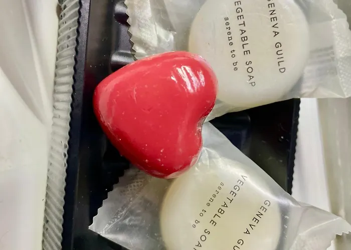 Artists * שקודר