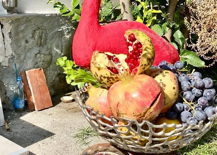 Villa Artists Shkodër